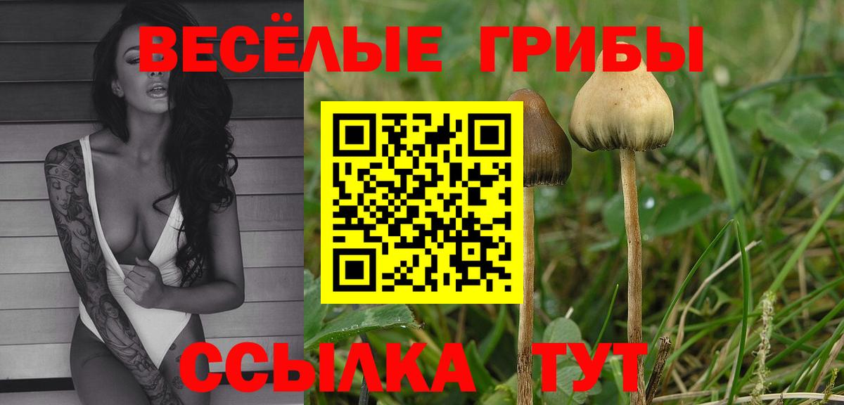 Галлюциногенные грибы мухоморы  Вход с VPN  Псилоцибиновые грибы мицелий  Краснотурьинск 